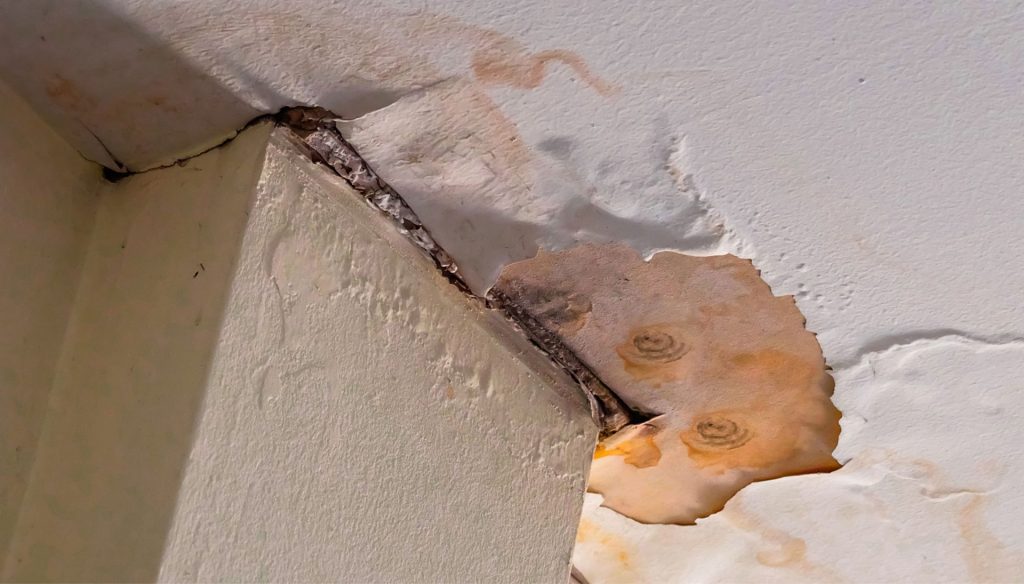 Water-Damage-Mold-Removal in Sacramento